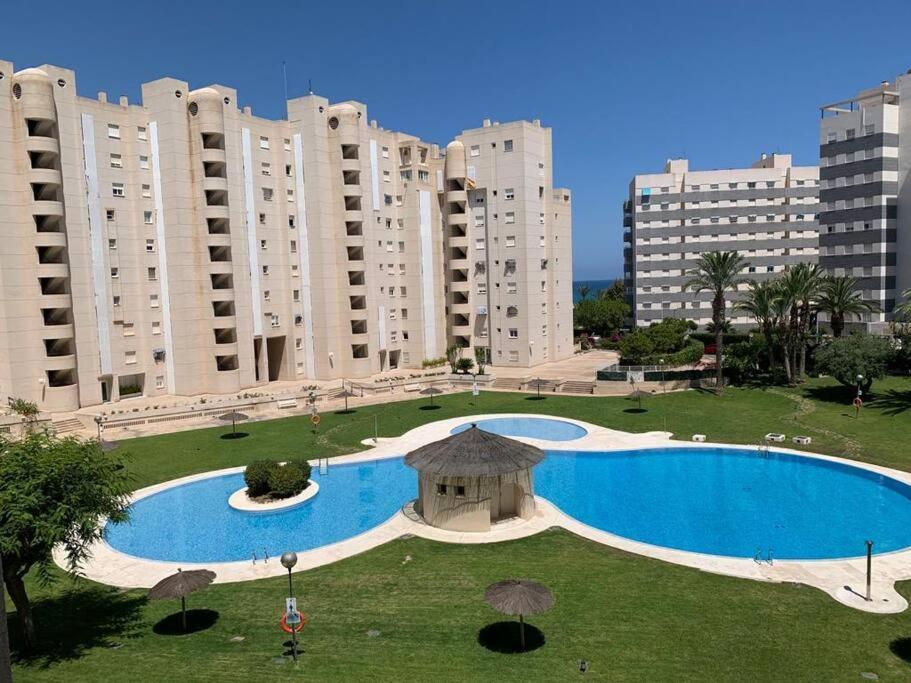 Apartamento - Playa El Campello Urbanizacion Jardin Del Mar Ngoại thất bức ảnh